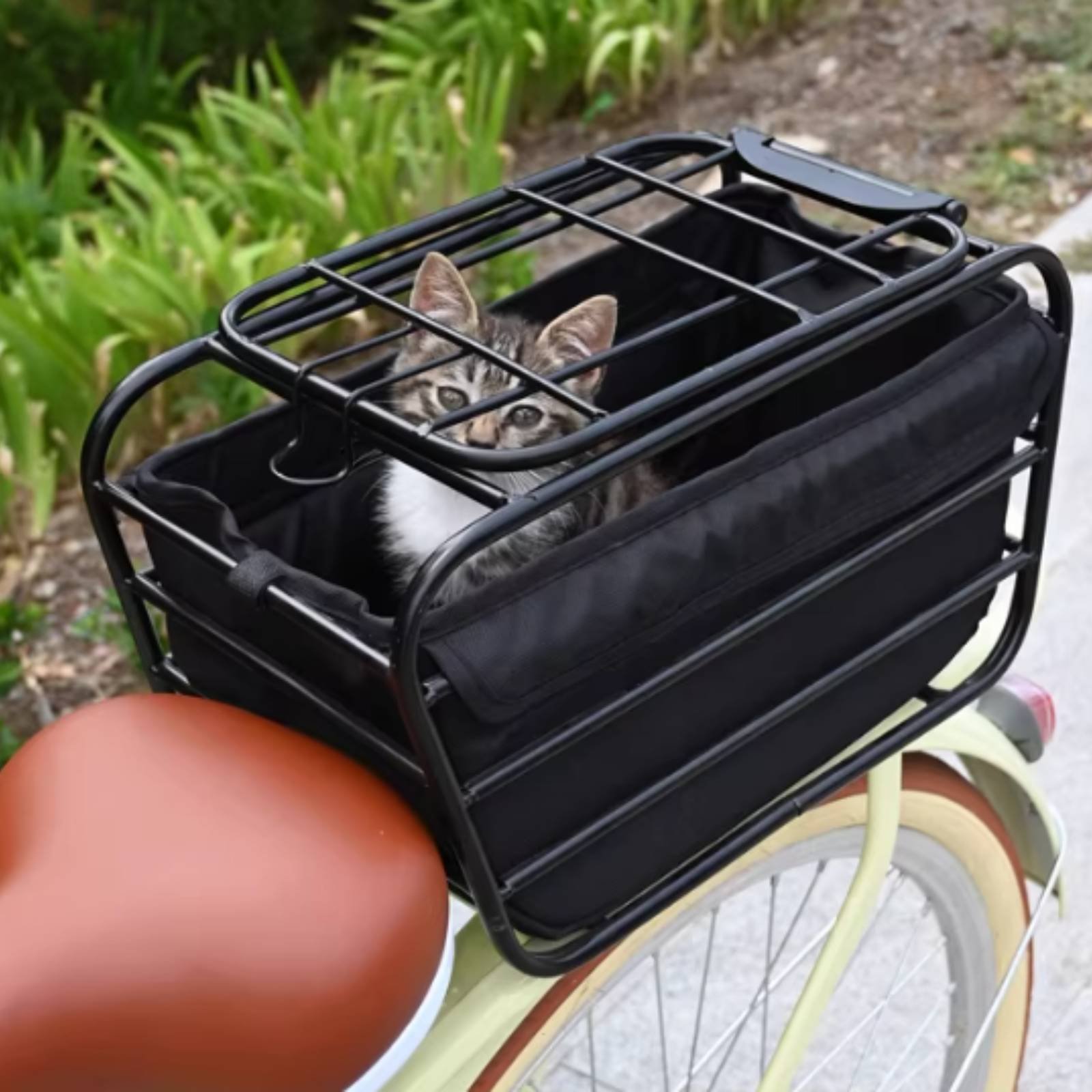 Cestino Porta Cani da Bici, Ro - Bike Cargo Rack recensione e prezzo